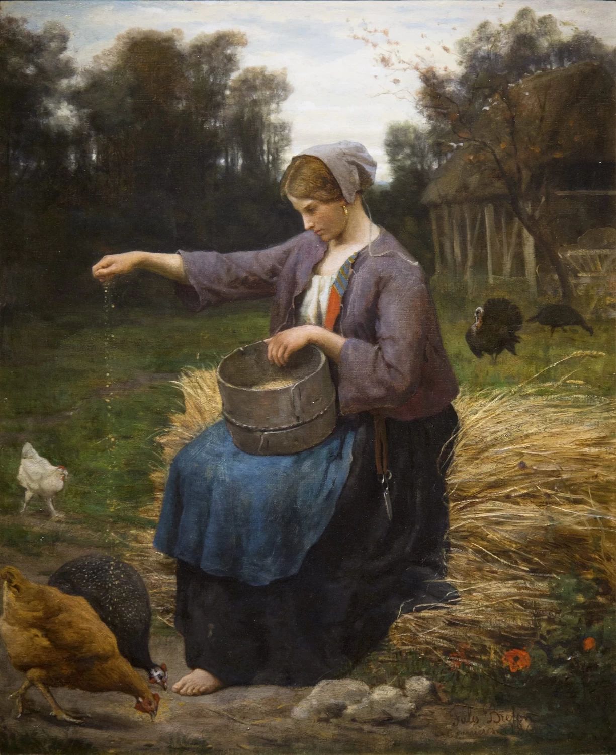 Ragazza che da da mangiare alle galline